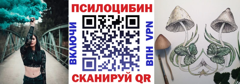 Псилоцибиновые грибы Psilocybine cubensis  блэк спрут рабочий сайт  Орлов 